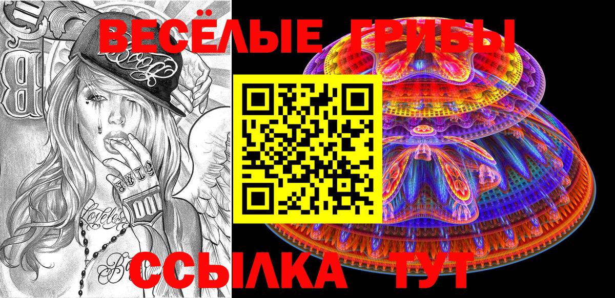 Псилоцибиновые грибы GOLDEN TEACHER Ногинск